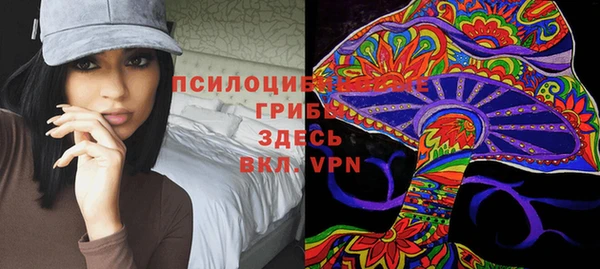 мет Горно-Алтайск