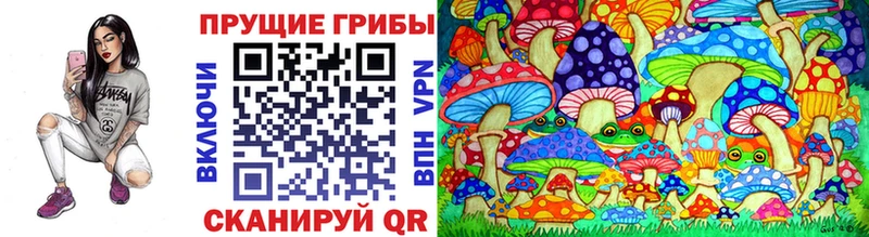 Псилоцибиновые грибы прущие грибы  закладки  Всеволожск 